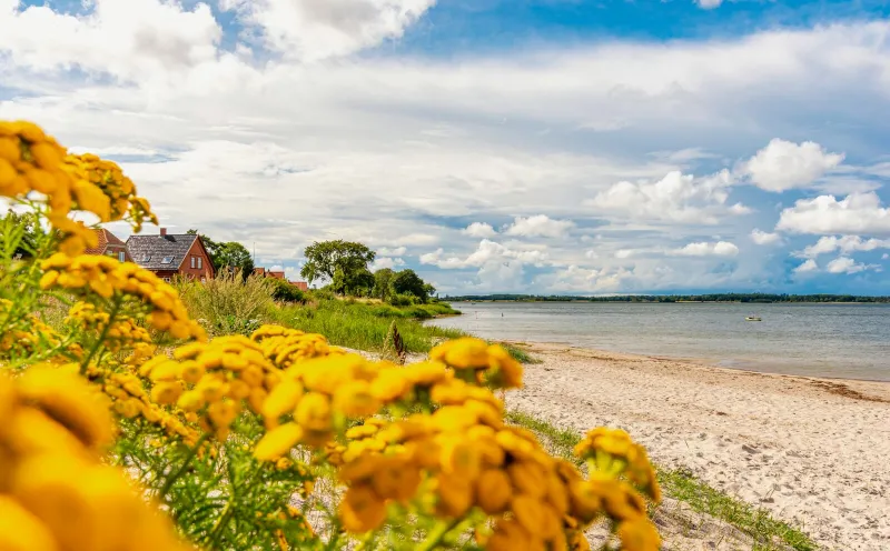 Strand in Bandholm
