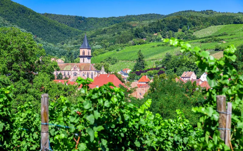 Blick auf Ribeauville