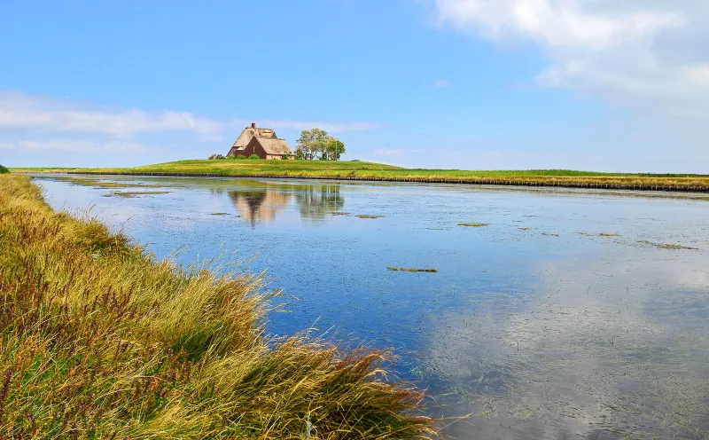 Hallig Hooge