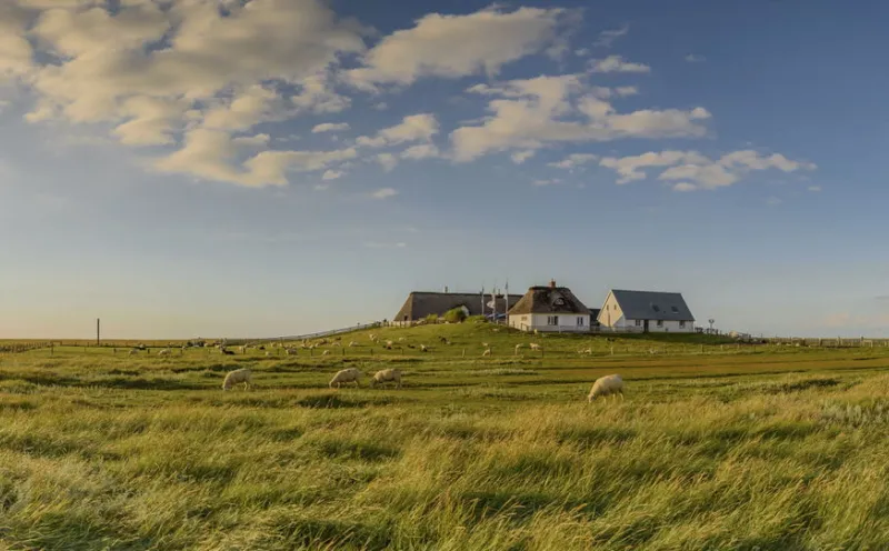 Hamburger Hallig