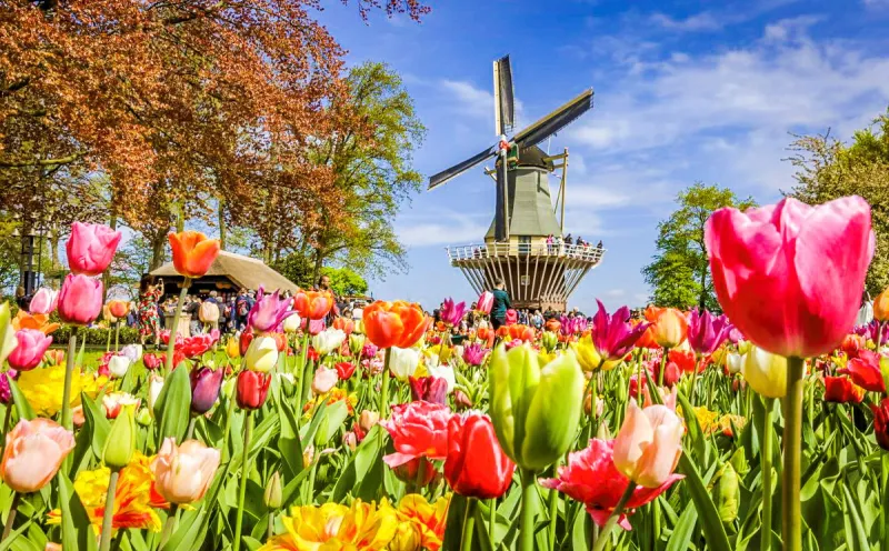 Keukenhof