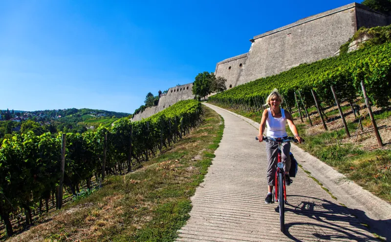 Würzburg, Radweg, Radfahrerin, Weinberg