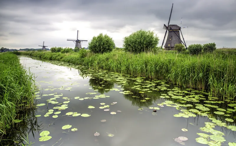 Windmühlen von Kinderdijk