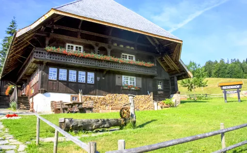 B2B Schwarzwald