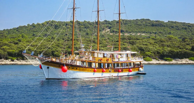 MS Sveti Vid