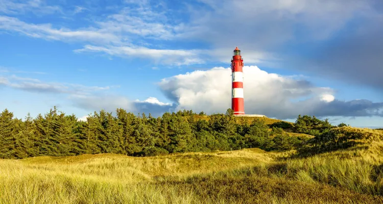 Amrum