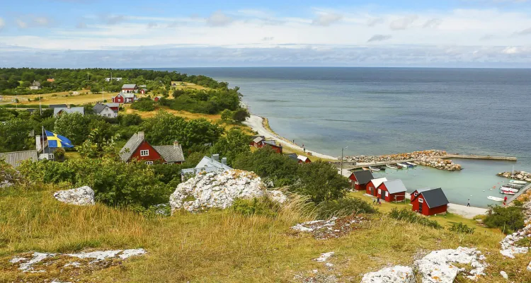 Gotland Hallshuk