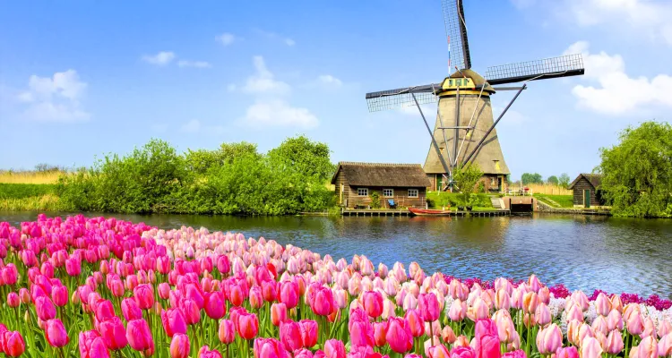 Radreisen im Frühling - Mit Rad und Schiff zur Tulpenblüte