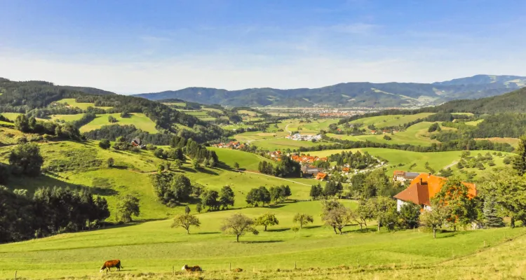 Schwarzwald