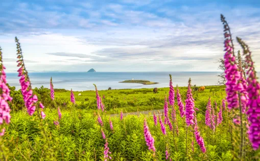 Isle of Arran