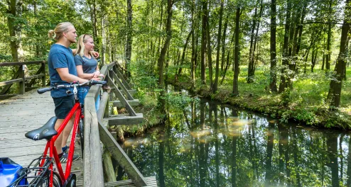 Der Gurken-Radweg im Spreewald