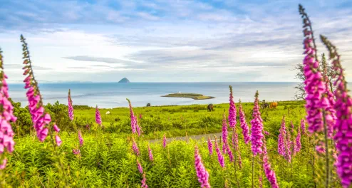 Isle of Arran